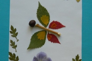 Аппликация из листьев и природных материалов «Бабочка»